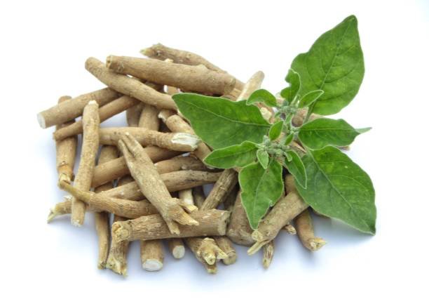 Unlocking the Potential of Ashwagandha in Diabetes Management
