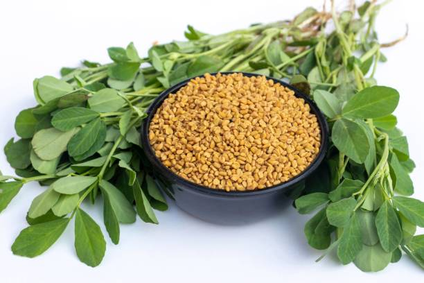 Harnessing the Power of Fenugreek Seeds for Diabetes Management