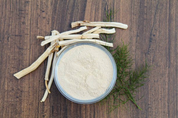 The Healing Power of Shatavari: Exploring Ayurvedic Medicine