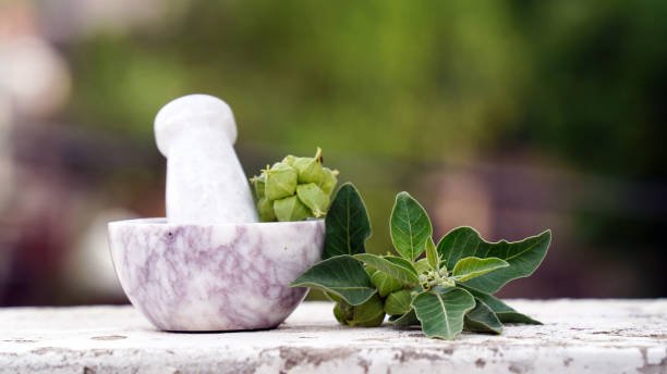 Rediscovering Health with Khet Se Ghar Ayurveda Medicine