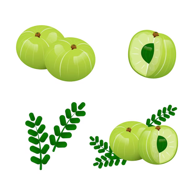 Amla: The Vitamin C Powerhouse of Ayurveda