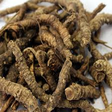 Kutki: The Ayurvedic Wonder Herb