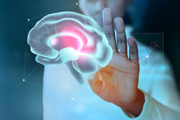 Harnessing the Power of Herbs for Enhanced Cognitive Function